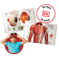 Coffret VR Corps humain