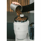 Melitta Aromafresh II Grind & Brew Pro X Glass Jug Filter Coffee Machine with Grinder