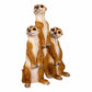 Statue de suricate à feuilles persistantes