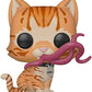 Funko Pop Capitaine Marvel Goose Flerken Chase Rare !! Figure 445