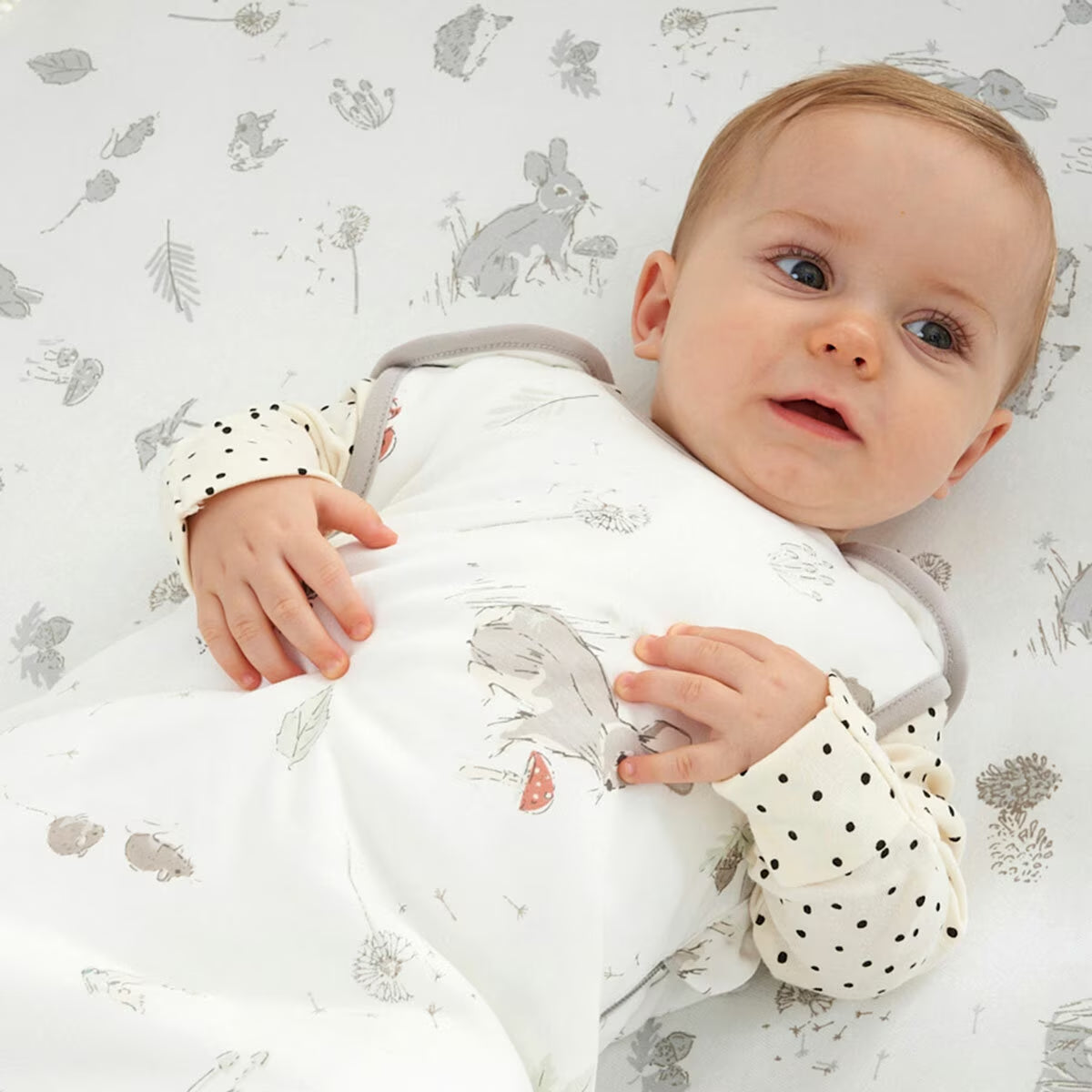 Tutti Bambini 2.5 TOG Sleeping Bag in Cocoon image 6