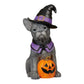 Halloween Dog Greeter Decoration | Doodle or Frenchie