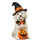 Halloween Doodle Dog Greeter