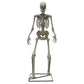 Halloween 6ft (11.8m) Animated Skeleton With LED Eyes