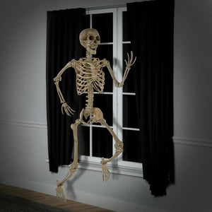 Halloween 7ft (2.1m) Poseable Skeleton
