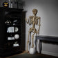 Halloween 7ft (2.1m) Poseable Skeleton