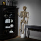 Halloween 7ft (2.1m) Poseable Skeleton