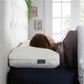 Snuggledown Bliss Bamboo Memory Foam Pillow image 3