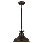 Quoizel Emery 1 Light Medium Pendant in Palladian Bronze image 0
