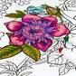 Feutres lavables Crayola - 80 couleurs uniques