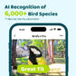 Birdfy Feeder 2 Pro Dual-Lens Smart Bird Feeder with Solar Panel