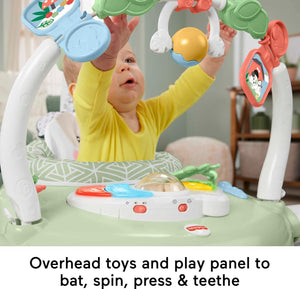 Fisher-Price Spacesaver Jumperoo Baby Bouncer | Lights, Music & Sounds | Folding Frame | Puppy Perfection