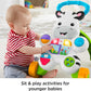 Fisher-Price Learn With Me Zebra Baby Walker | Music & Lights | Spinning Beads | Ages 12m+