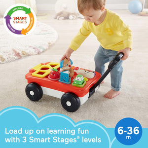 Chariot d'apprentissage Fisher Price Pull And Play unisexe