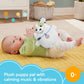 Machine à sons apaisante en peluche pour chiots nouveau-nés