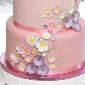 Easy Push Plunger Cutters, 6-Flower Set for Fondant, Icing & Cake Decorating image 1