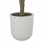 Artificial 8Ft Olive Tree in Planter