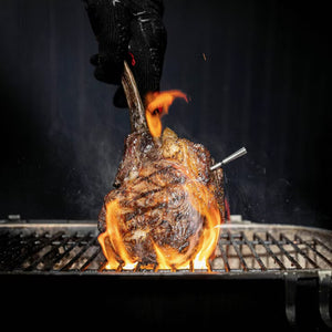 Meater Pro Wireless Smart Meat Thermometer