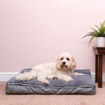 Becosy Medium Pet Bed image 0